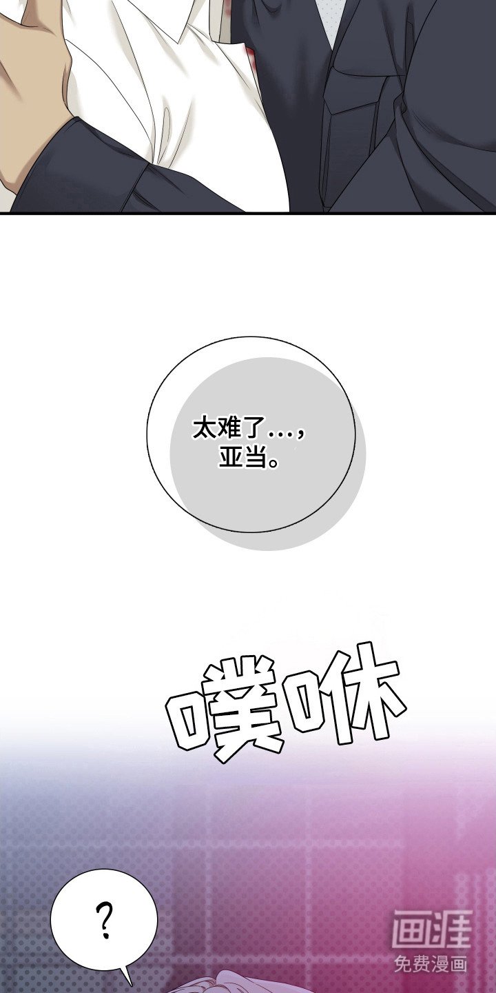 第29章：强行终止