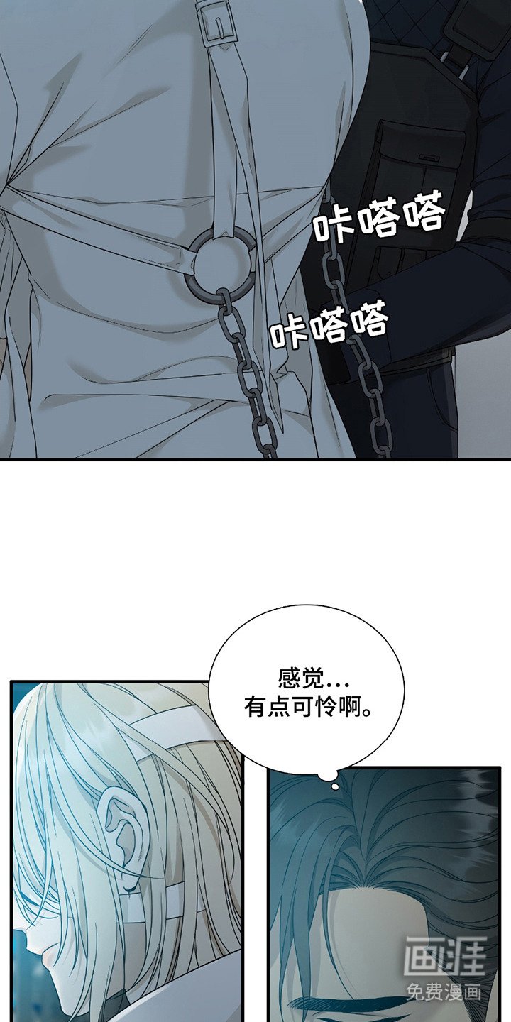 第3章：等级SSS
