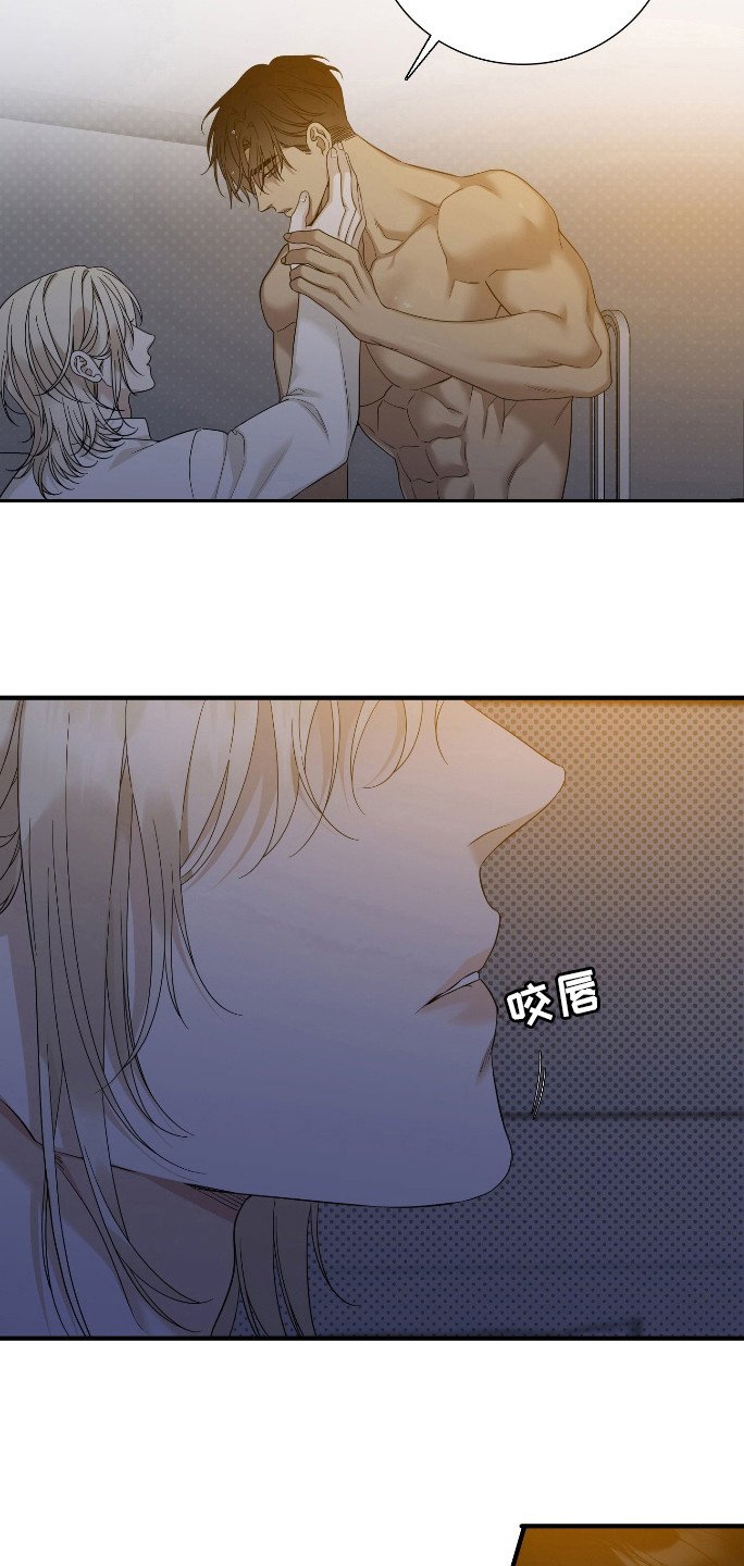 第31章：引导