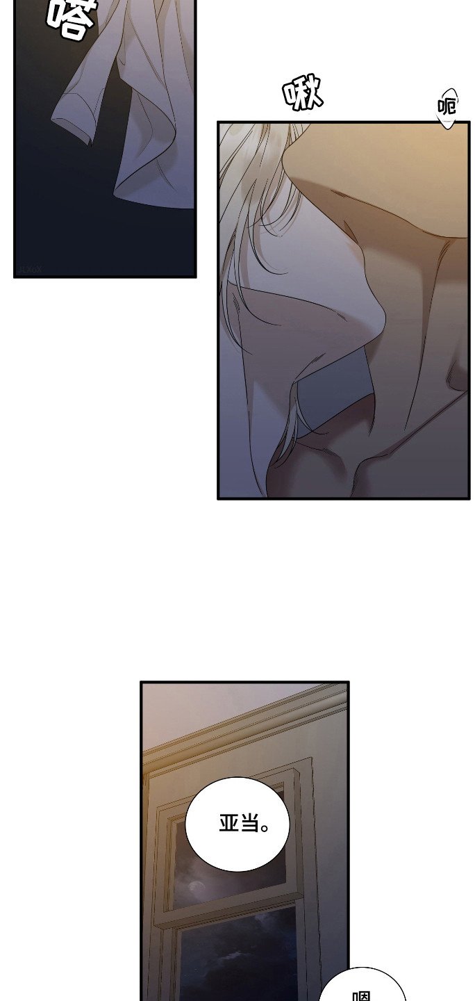 第31章：引导