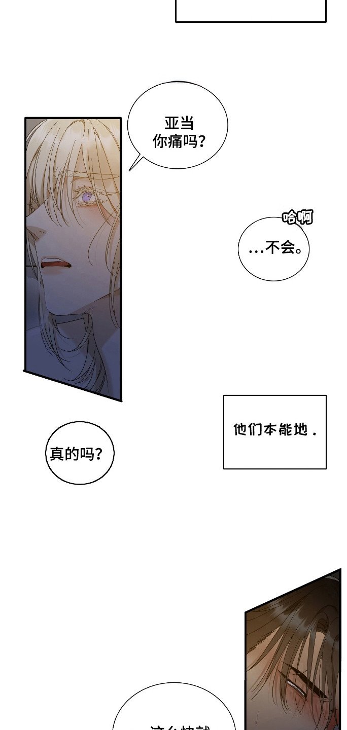 第31章：引导