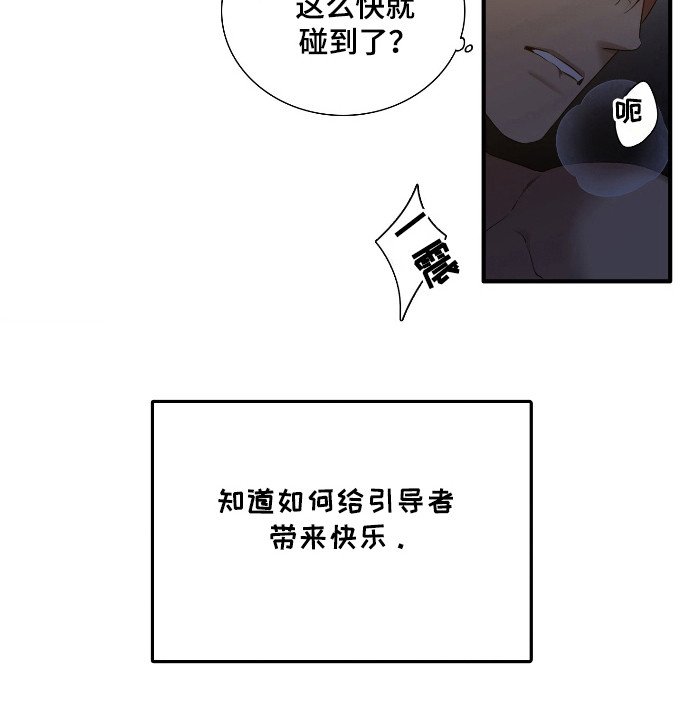 第31章：引导