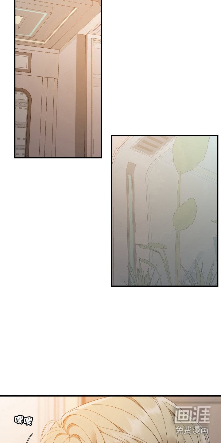 第38章：立即缴械