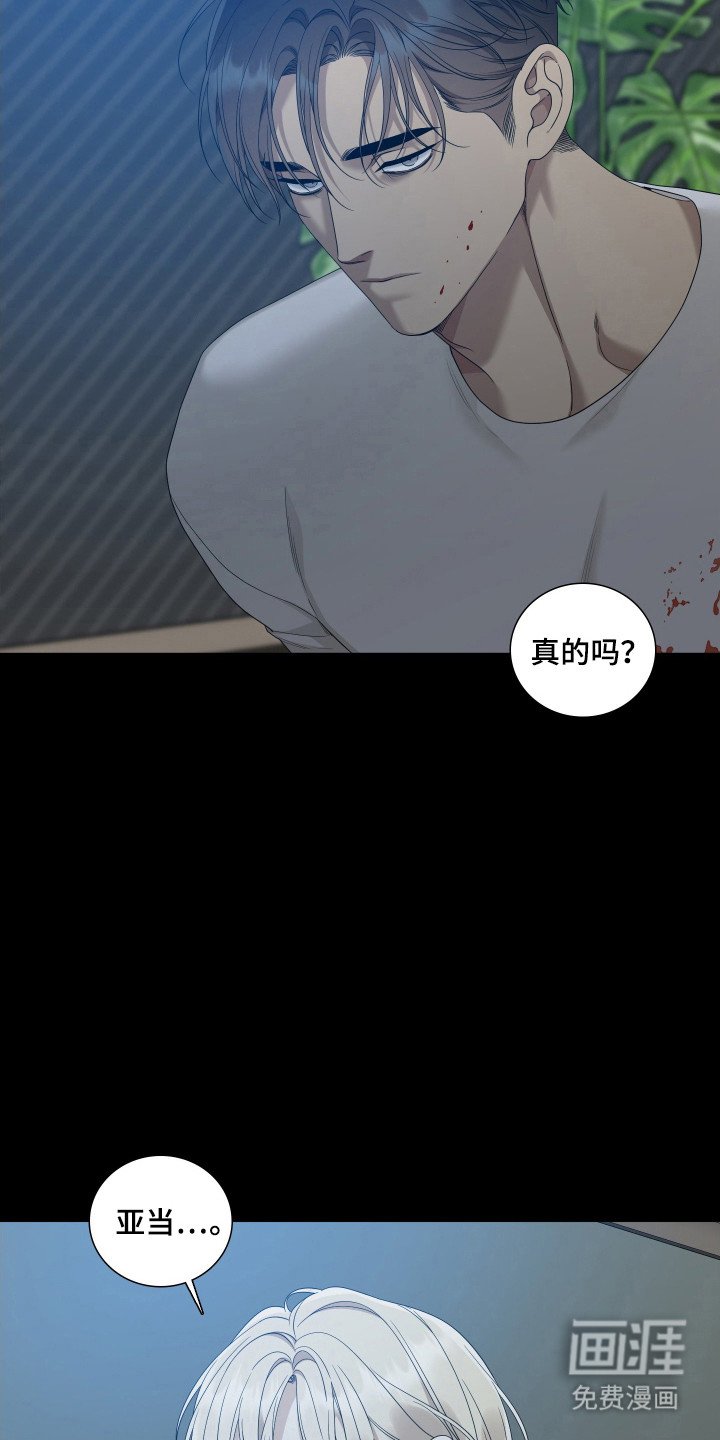 第38章：立即缴械