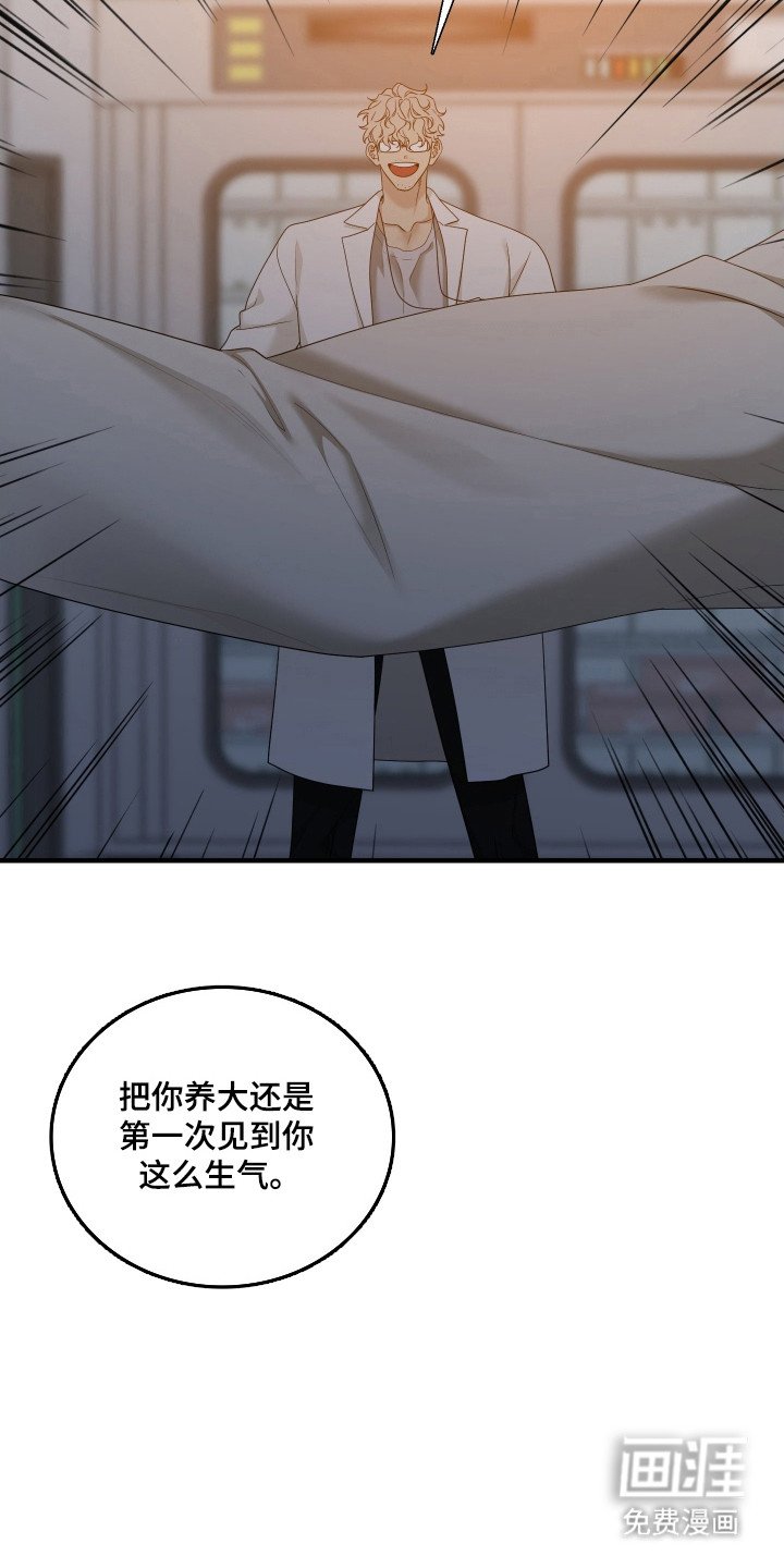 第39章：全部销毁