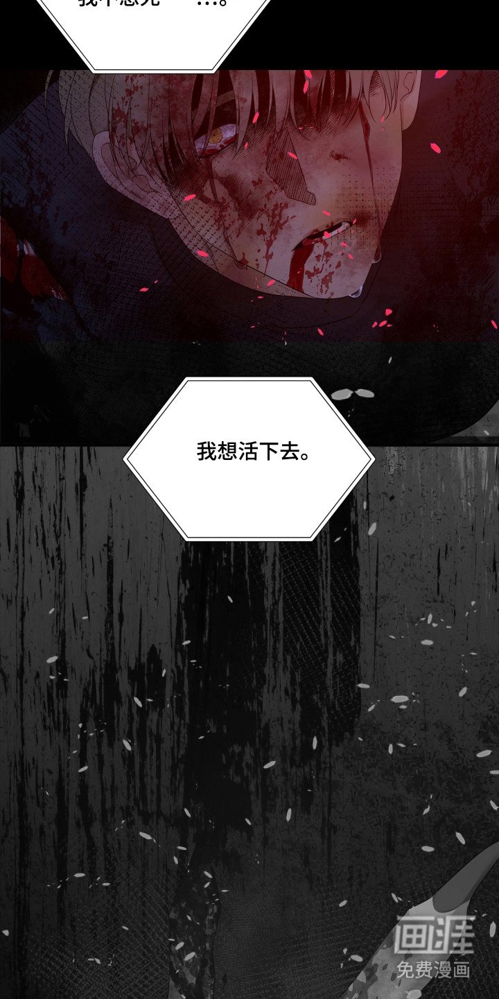第40章：讨伐失败