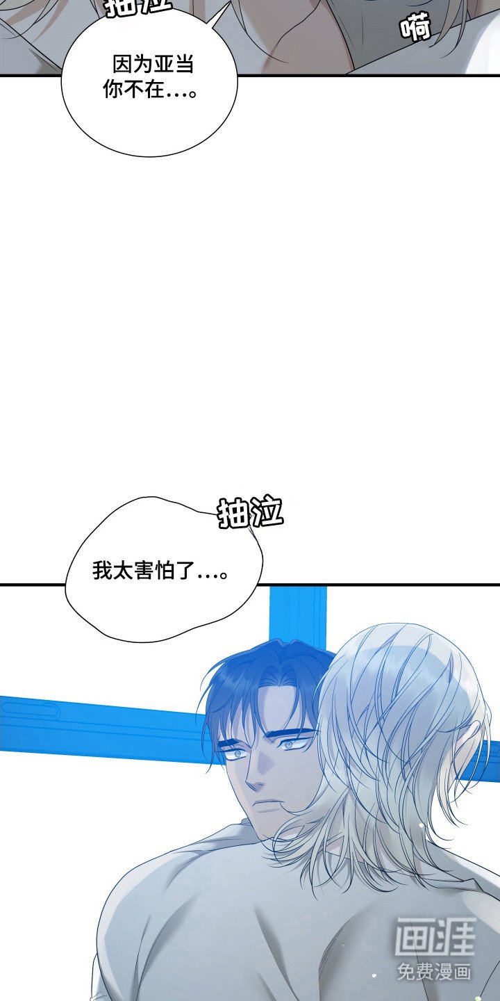 第41章：依赖