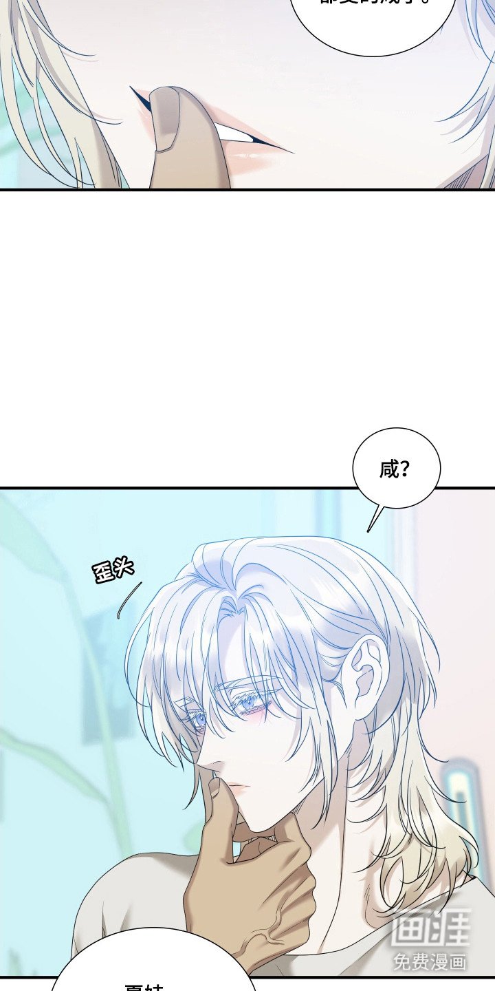 第42章：表达感情