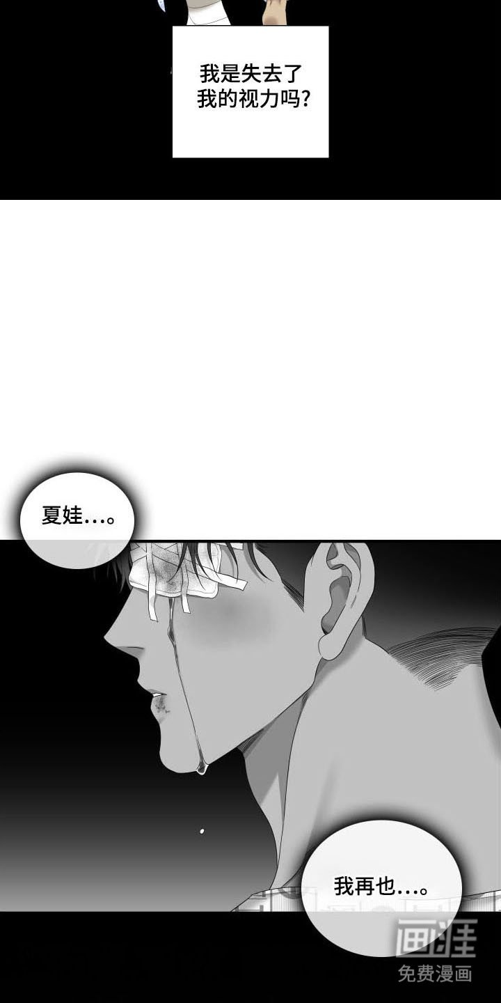 第43章：失去视力