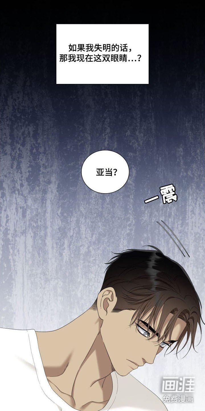 第43章：失去视力