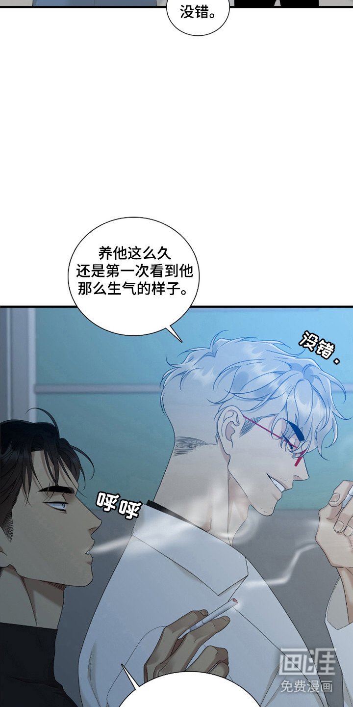 第46章：嫉妒