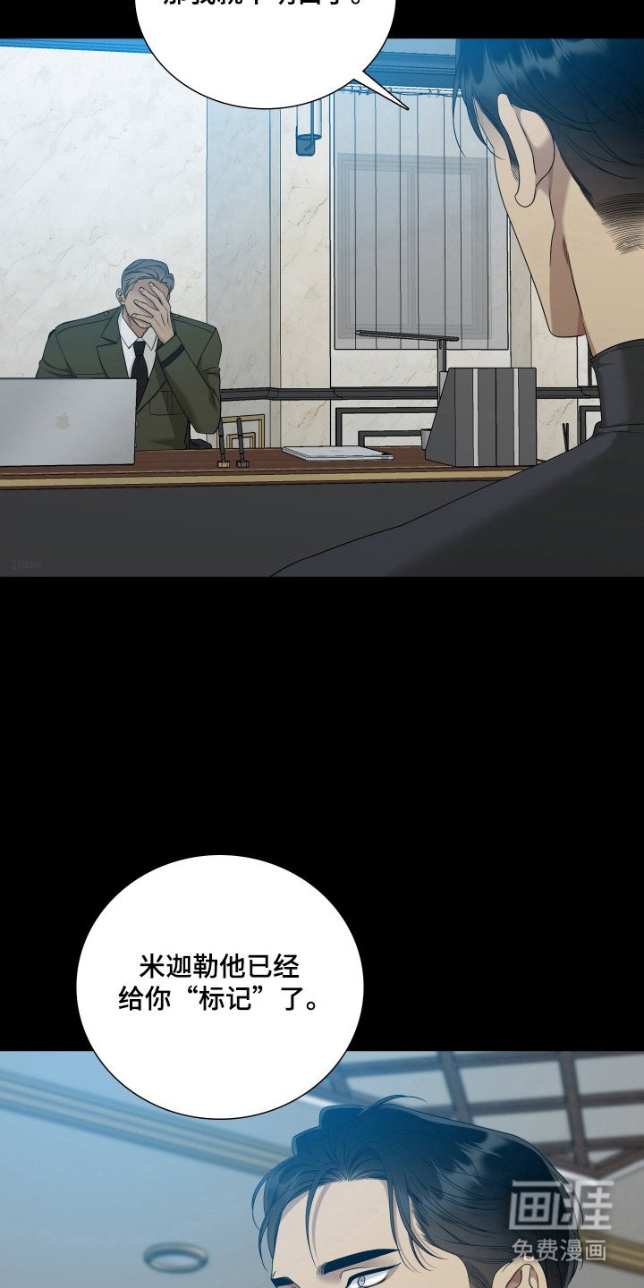 第53章：重点研究