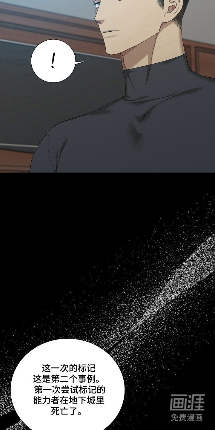 第53章：重点研究