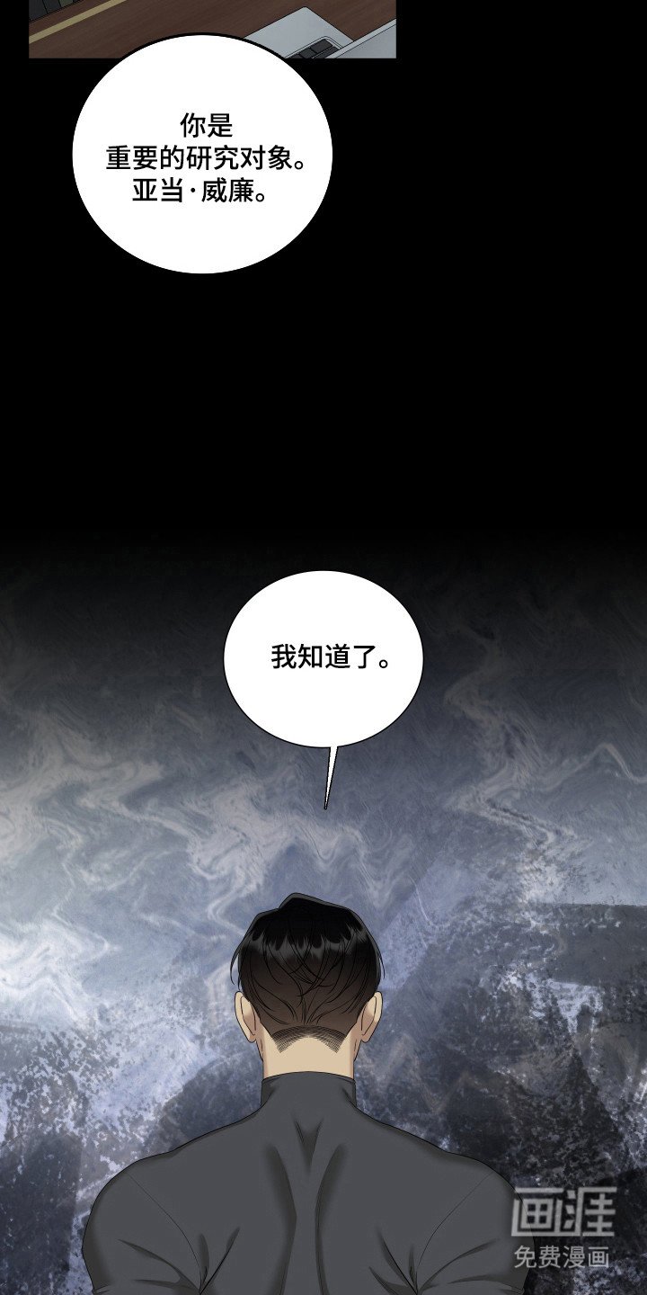 第53章：重点研究