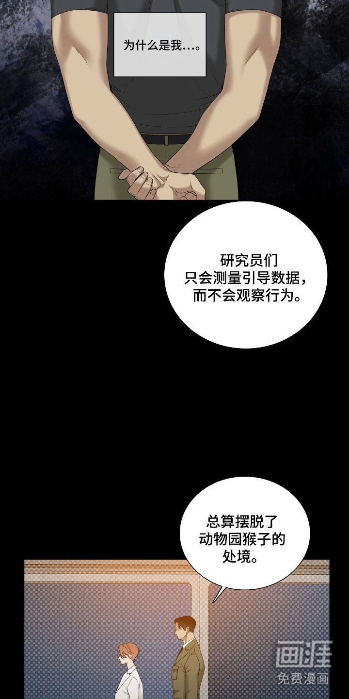 第53章：重点研究