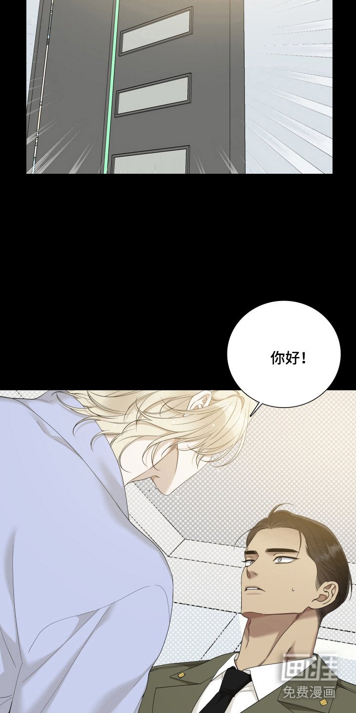 第53章：重点研究
