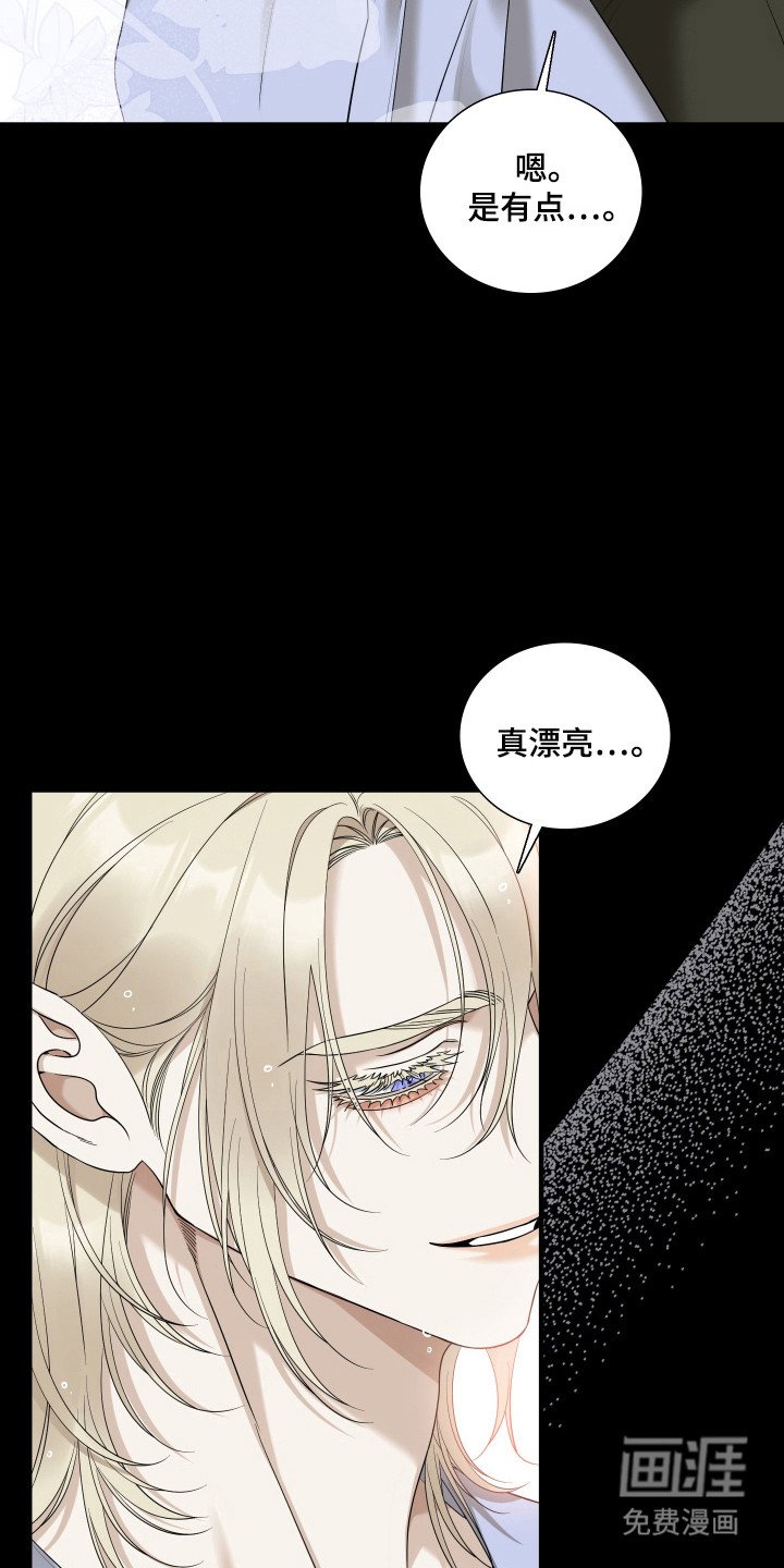 第53章：重点研究