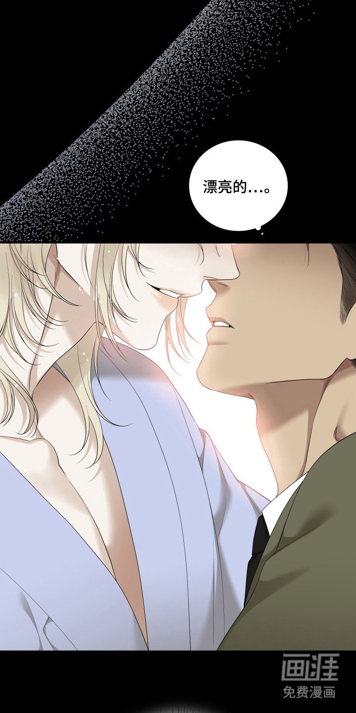 第53章：重点研究