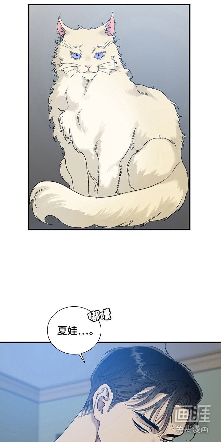第8章：首次引导