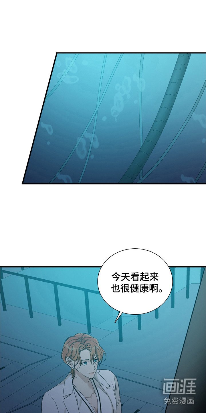 第9章：社会化训练