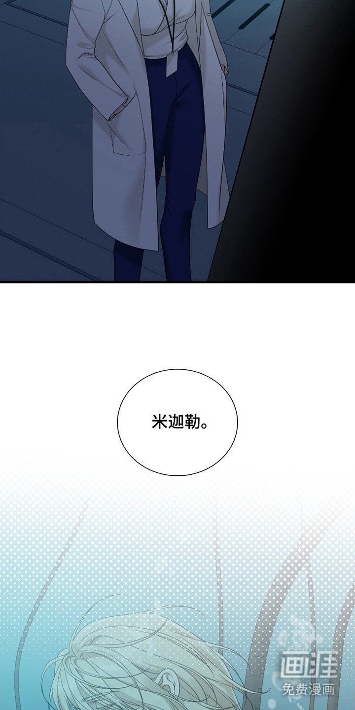 第9章：社会化训练