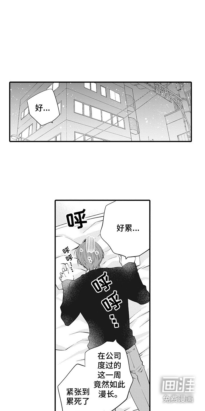 第4章：反响强烈