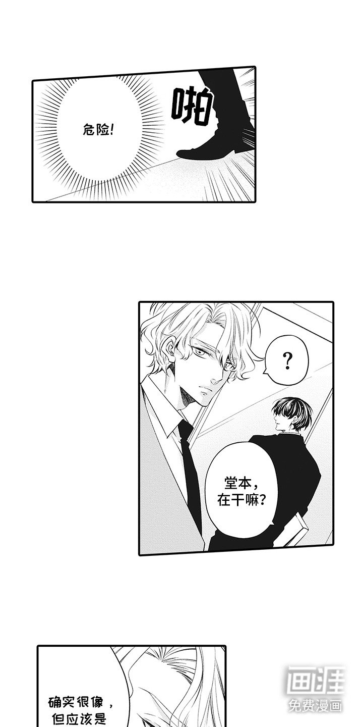 第5章：对视