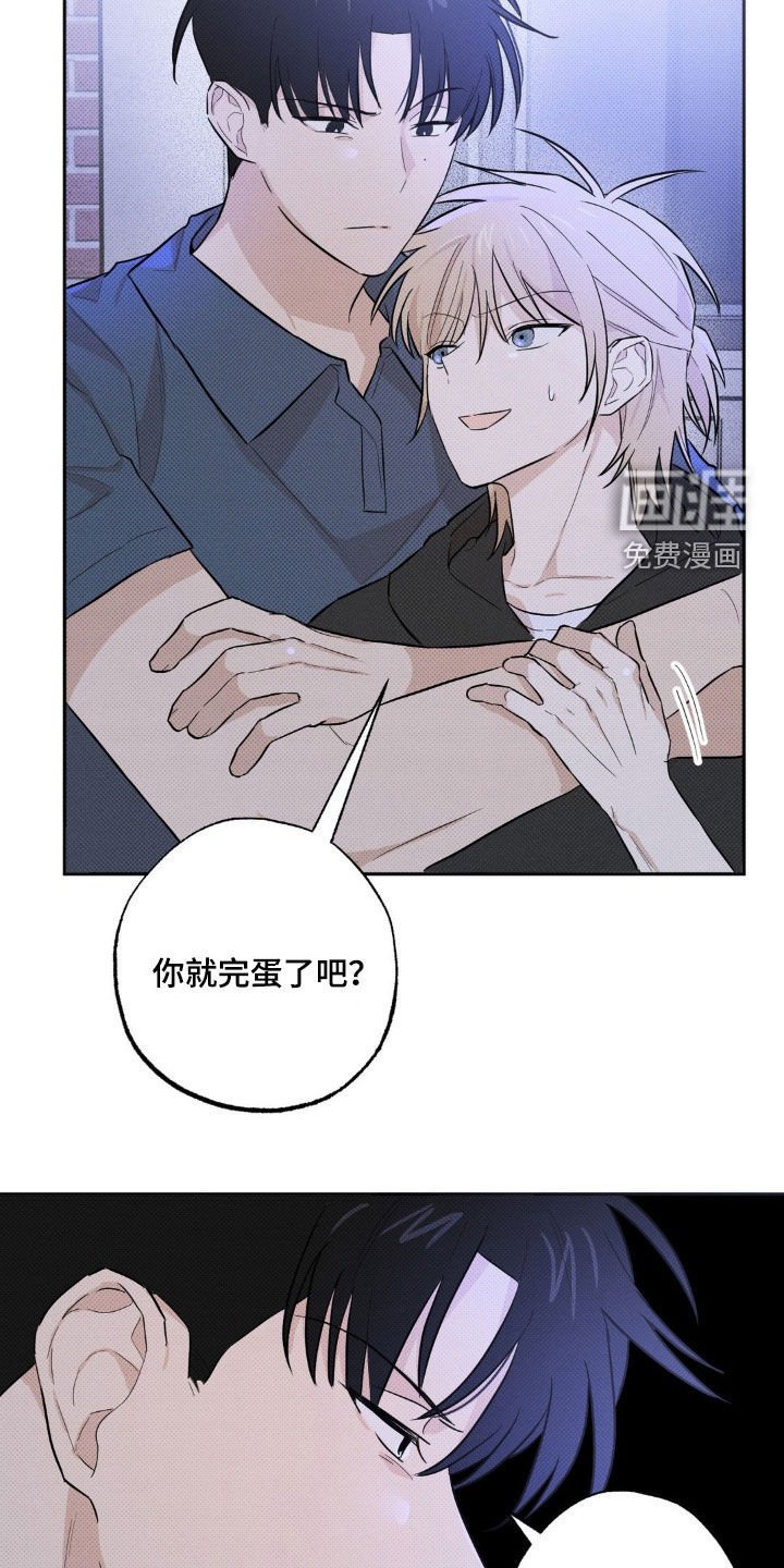 第10章：让我看看