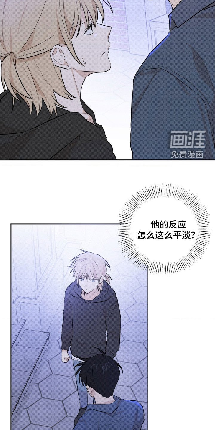 第10章：让我看看