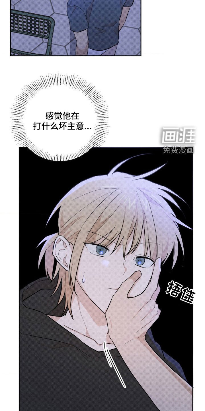 第10章：让我看看