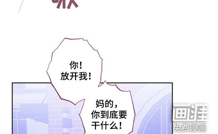 第10章：让我看看
