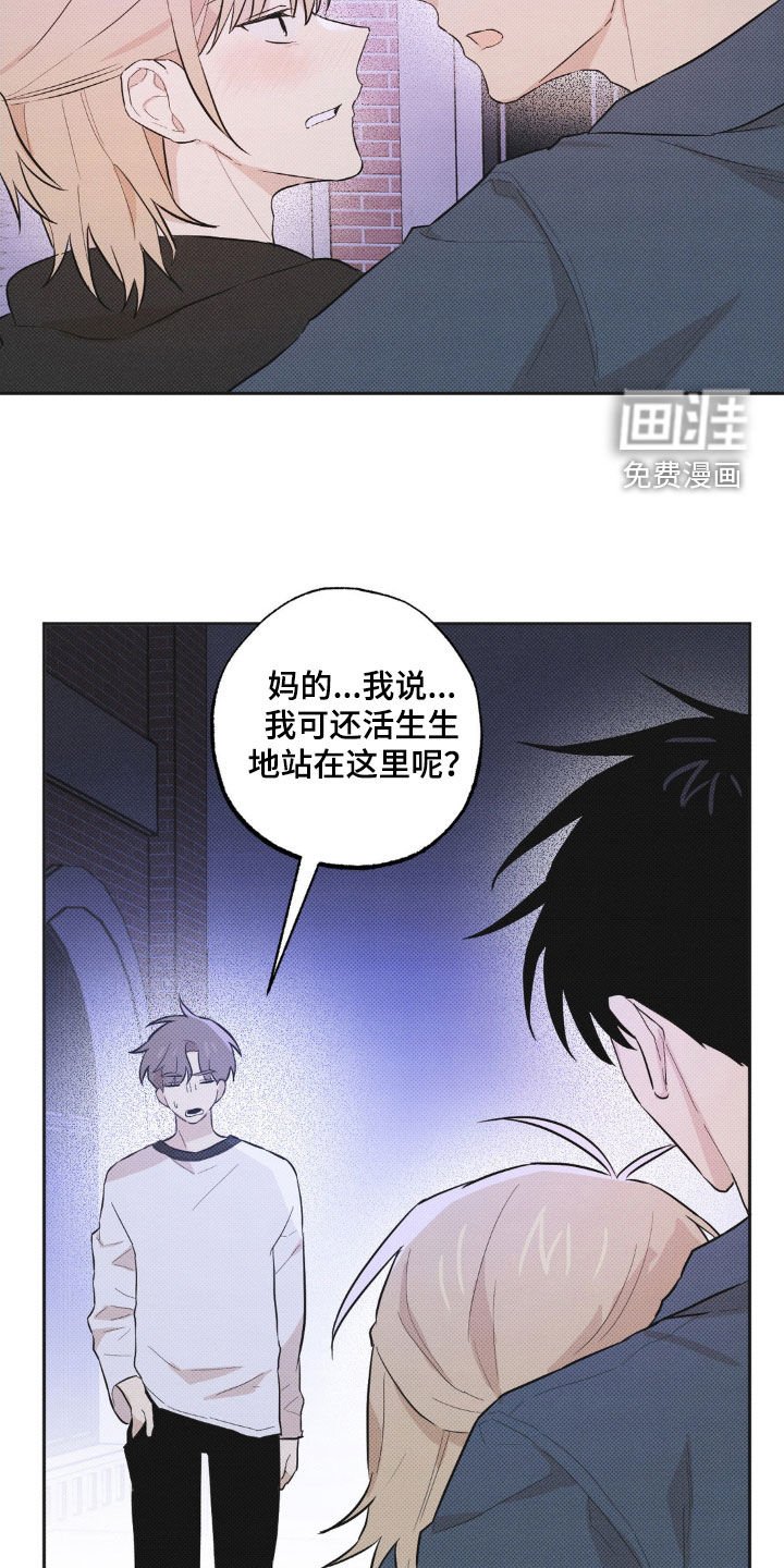 第10章：让我看看