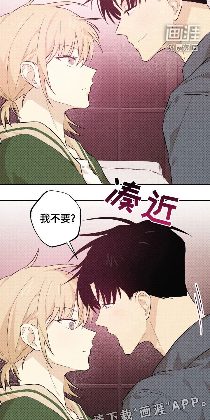 第12章：渐渐喜欢