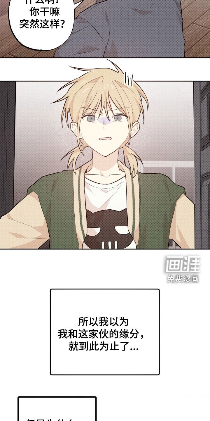 第12章：渐渐喜欢