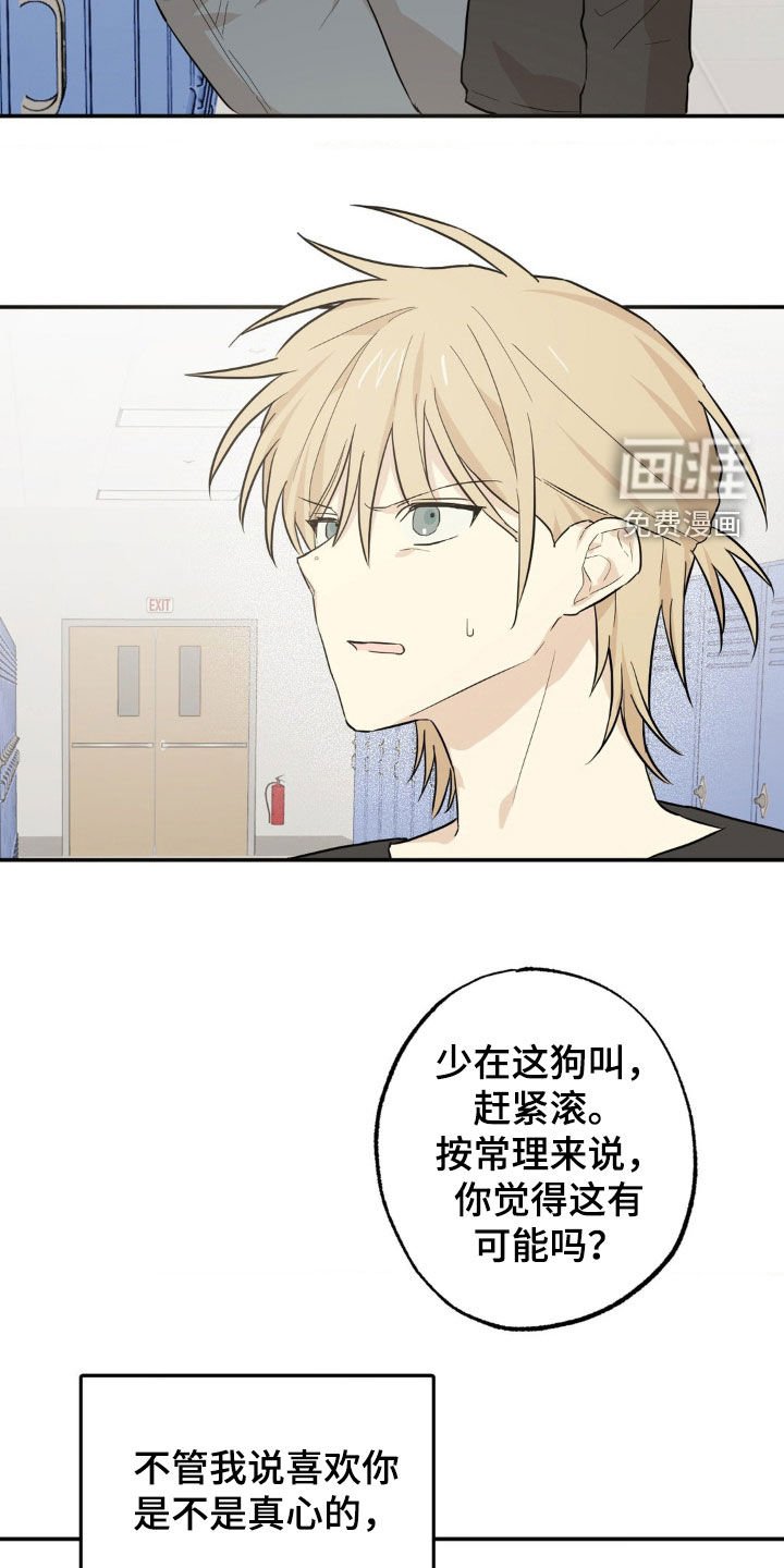 第13章：最好的办法（完结）