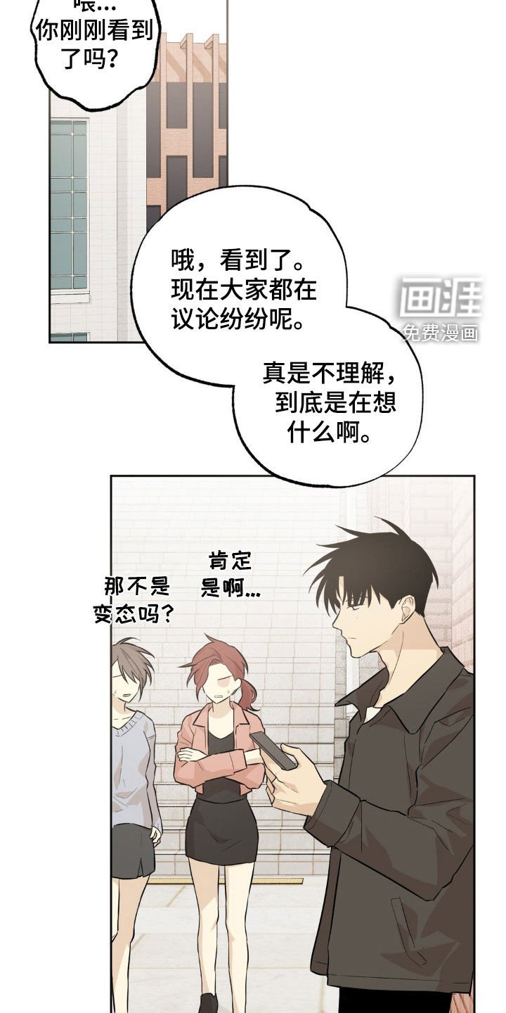 第13章：最好的办法（完结）