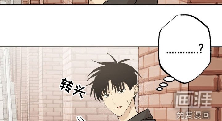 第13章：最好的办法（完结）