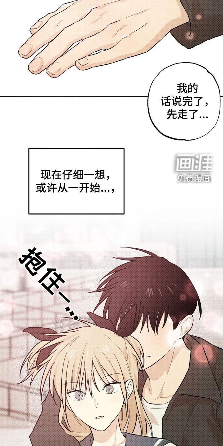 第13章：最好的办法（完结）