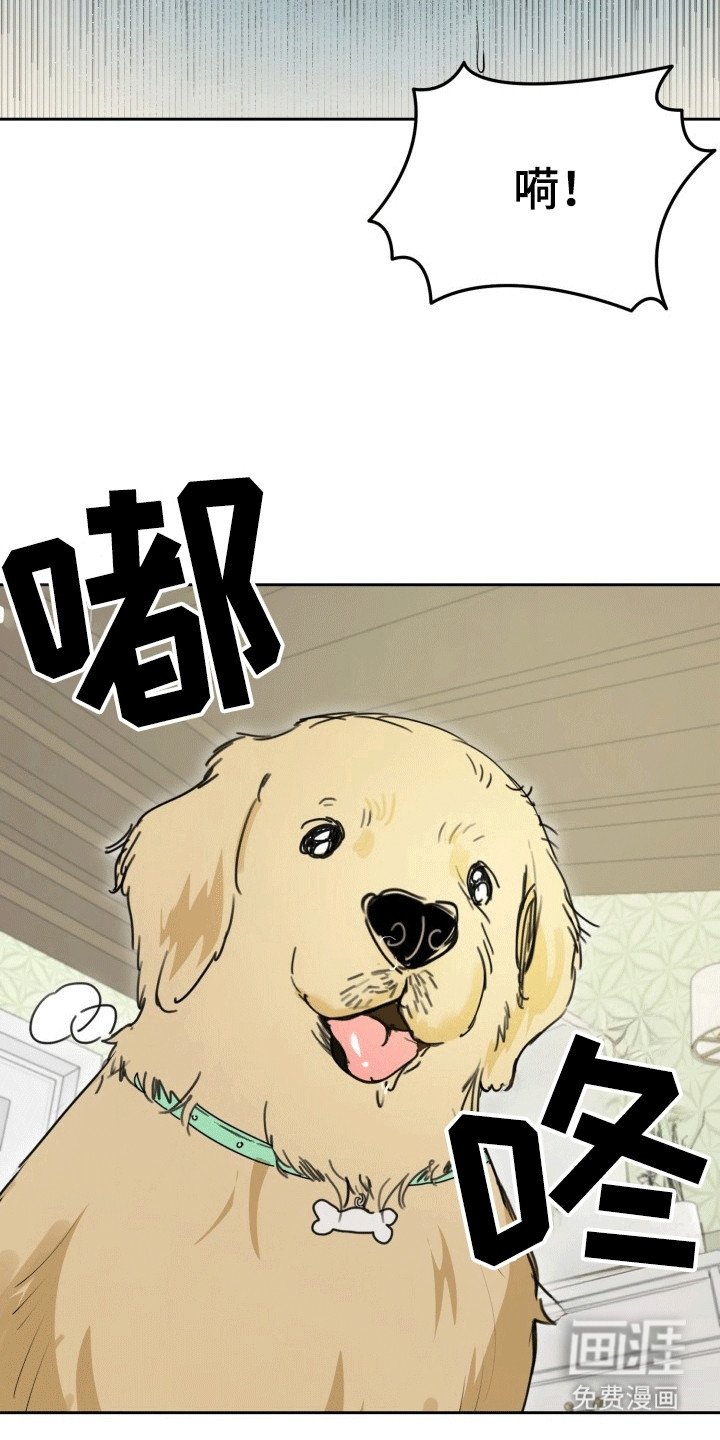 第1章：梦境