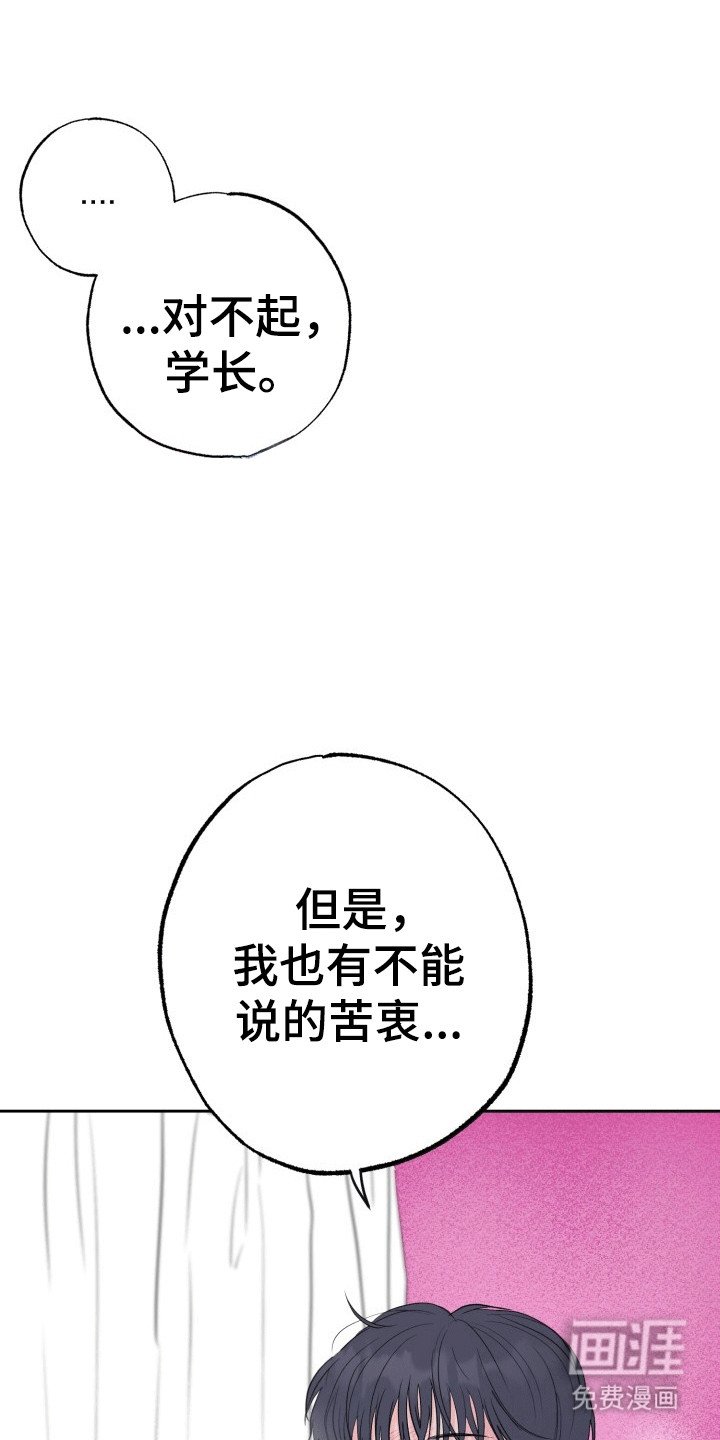 第10章：帘子后的秘密