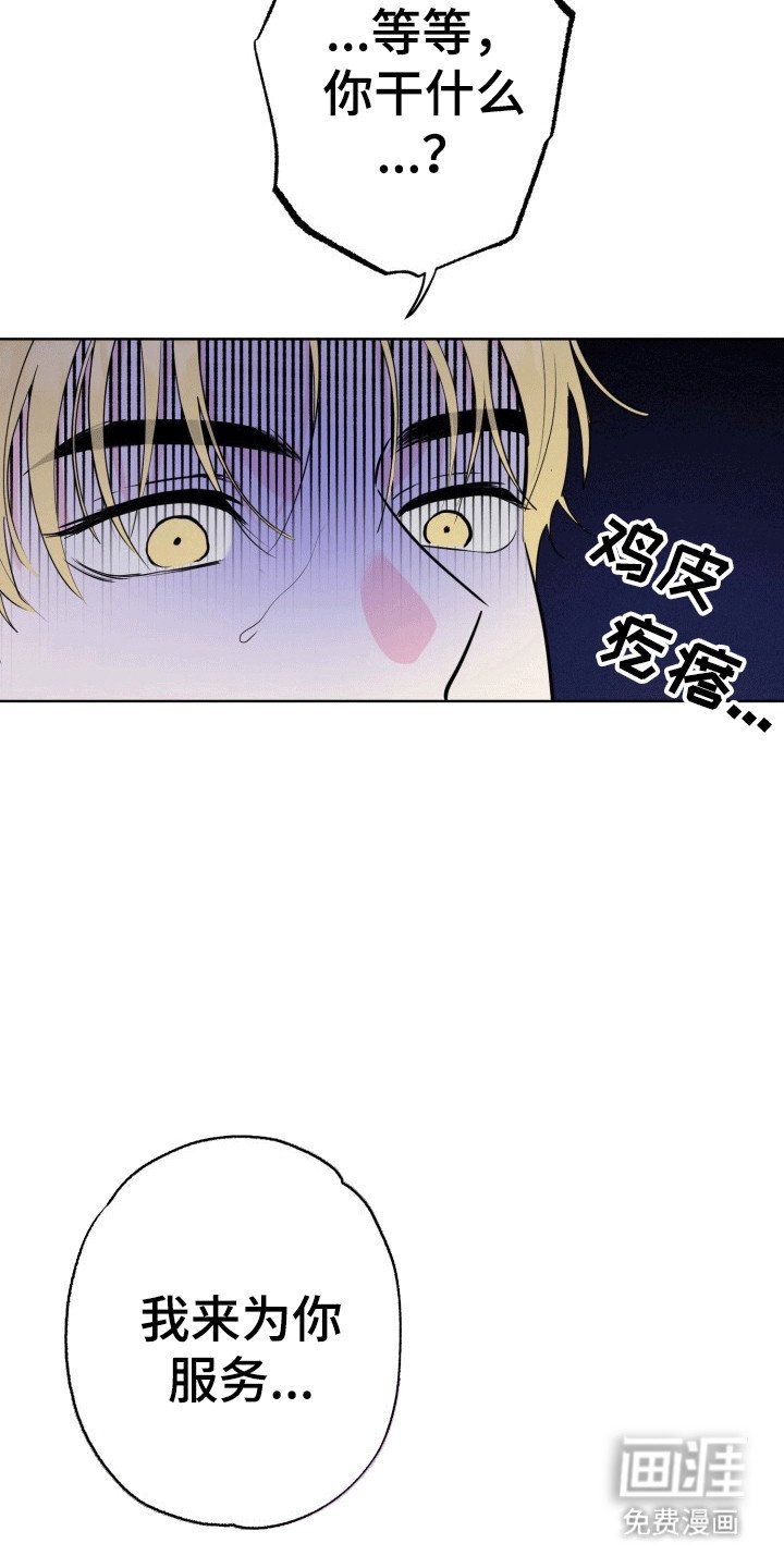 第10章：帘子后的秘密