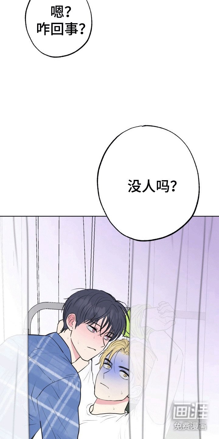 第10章：帘子后的秘密
