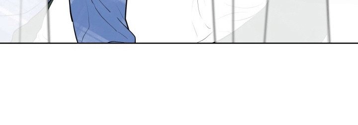 第10章：帘子后的秘密
