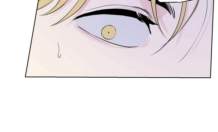 第10章：帘子后的秘密