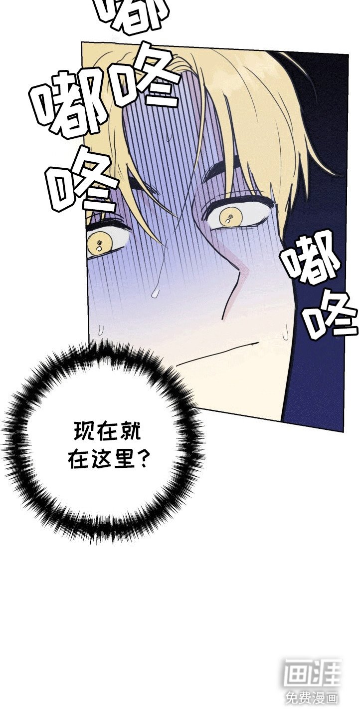 第10章：帘子后的秘密