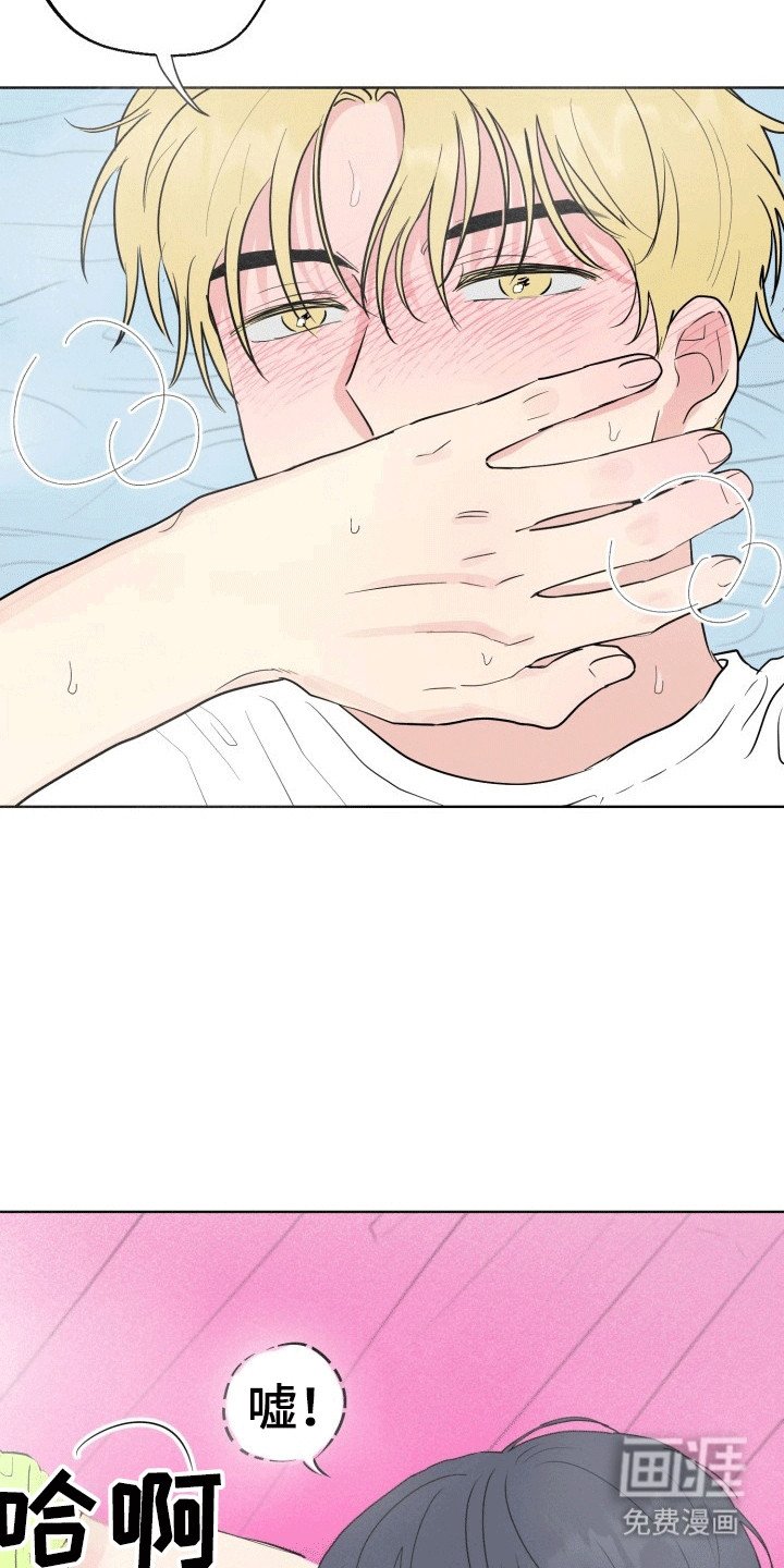 第10章：帘子后的秘密