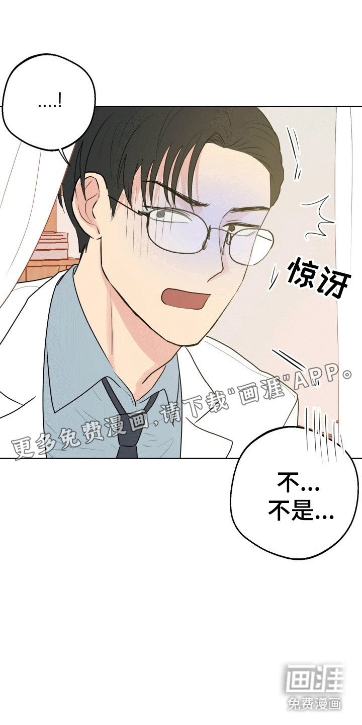 第11章：失去记忆