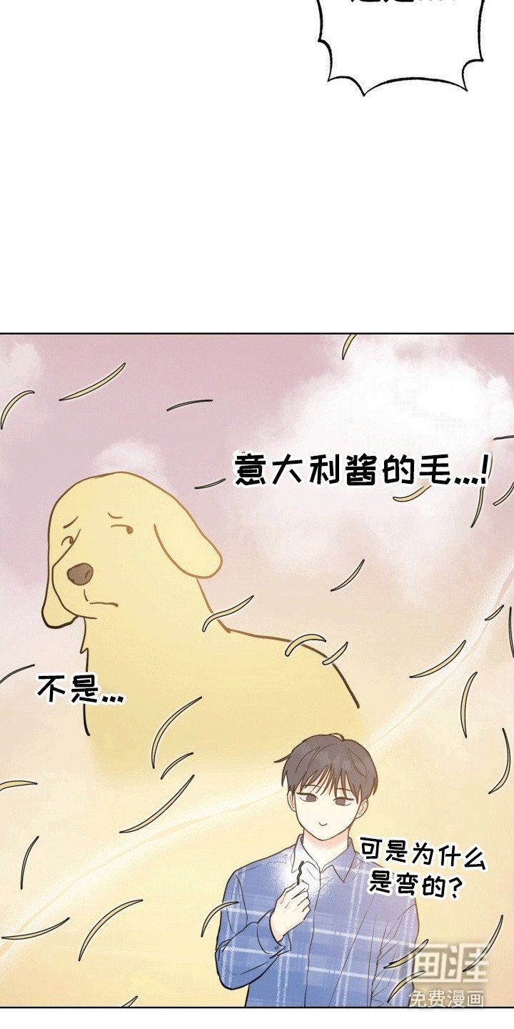 第11章：失去记忆