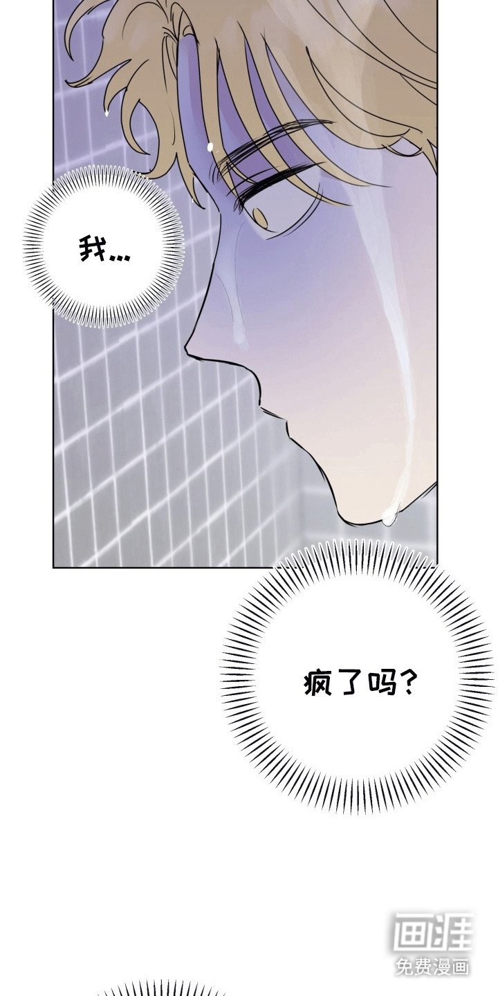 第12章：变化
