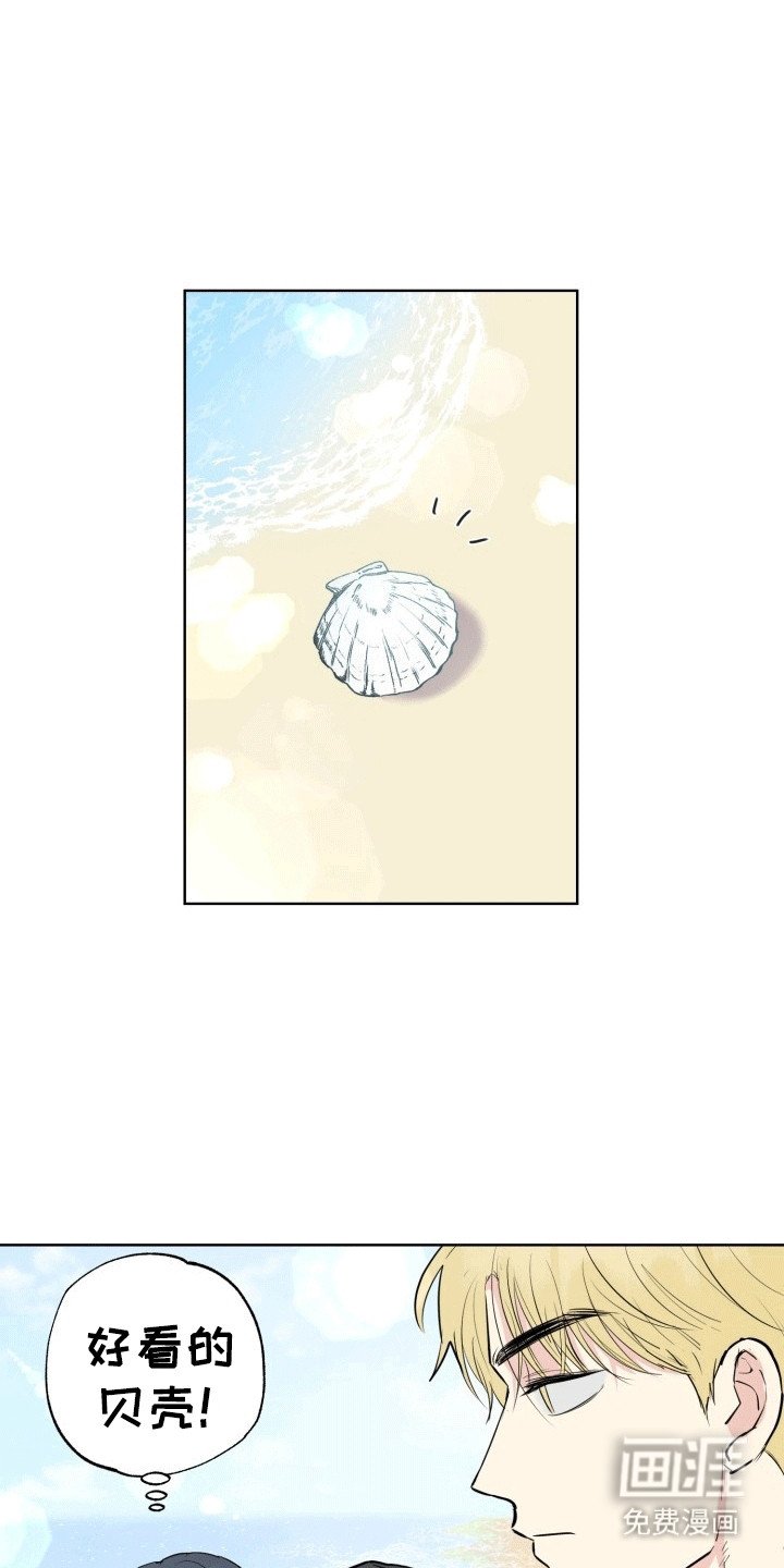 第14章：烟花